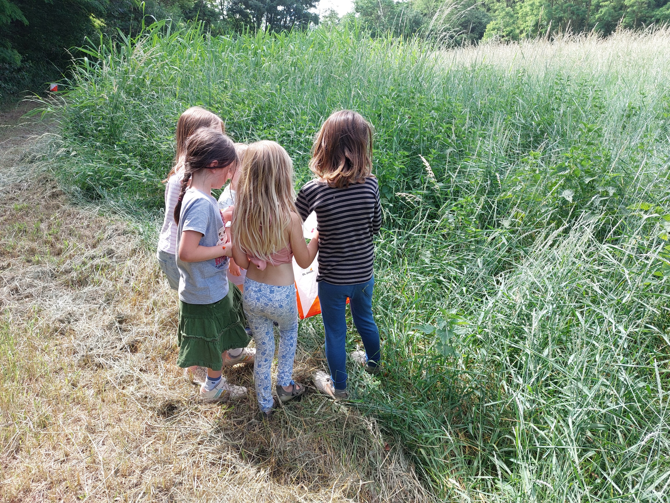Orientierungslauf mit dem Waldkindergarten